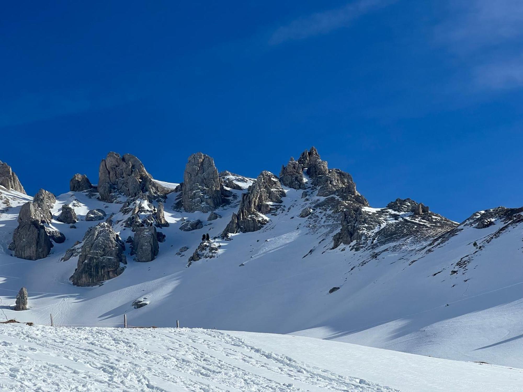 Chalet Tschattlhof Dolomites Cavalese Luaran gambar