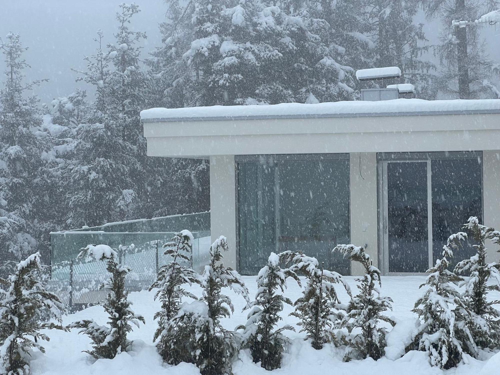 Chalet Tschattlhof Dolomites Cavalese Luaran gambar