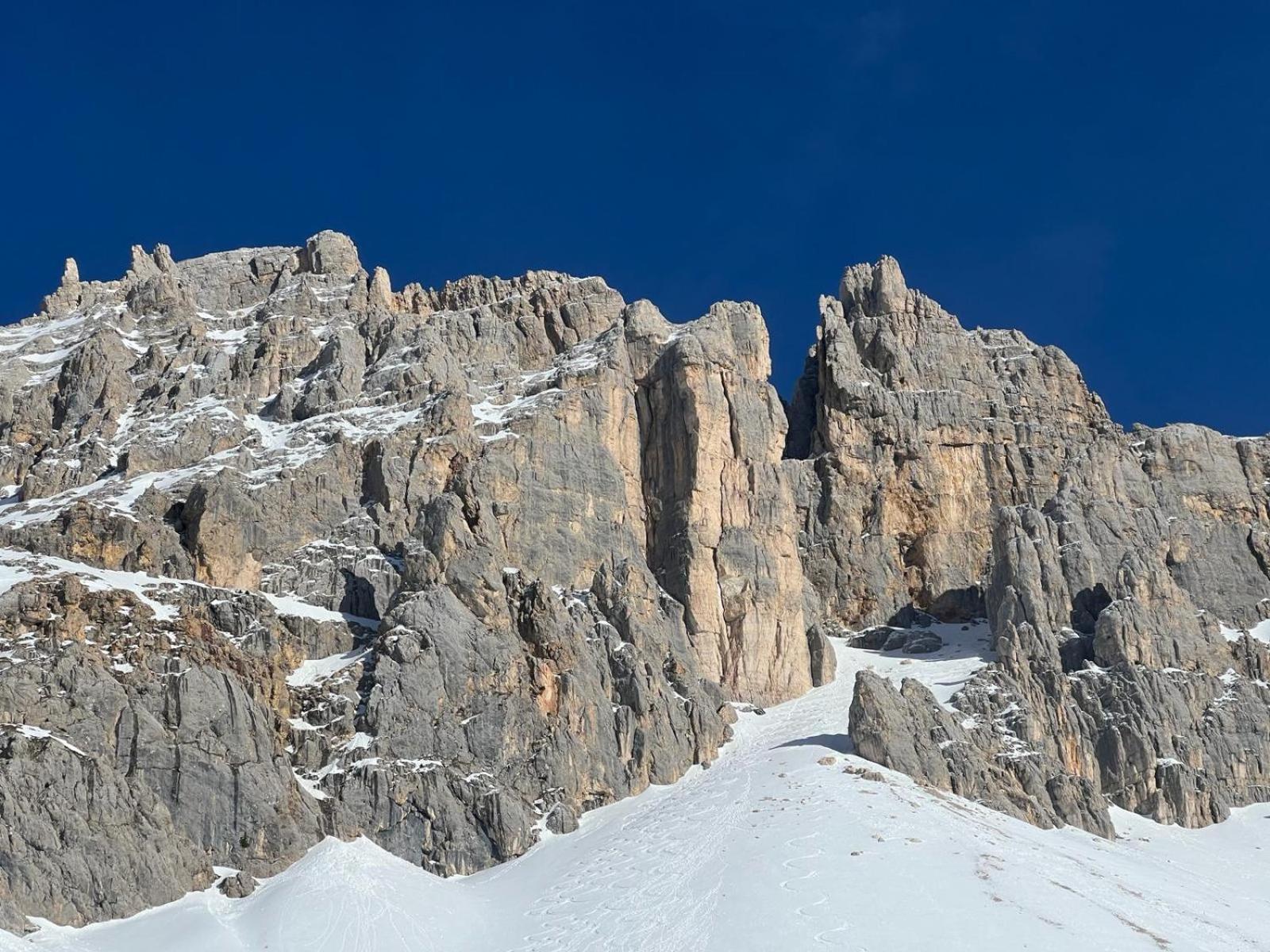 Chalet Tschattlhof Dolomites Cavalese Luaran gambar