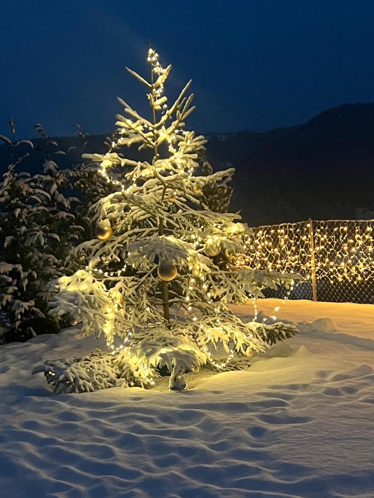 Chalet Tschattlhof Dolomites Cavalese Luaran gambar