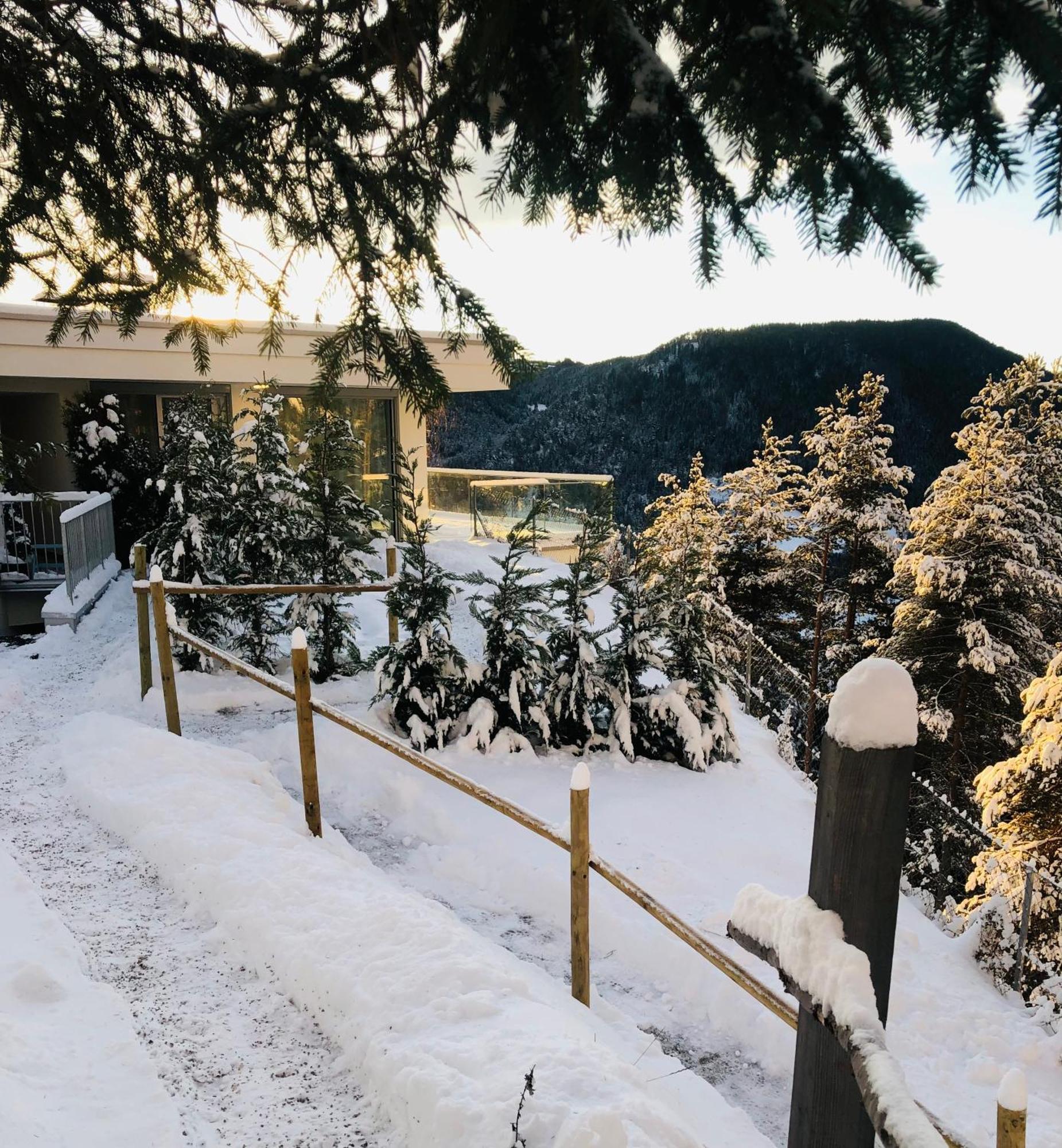 Chalet Tschattlhof Dolomites Cavalese Luaran gambar