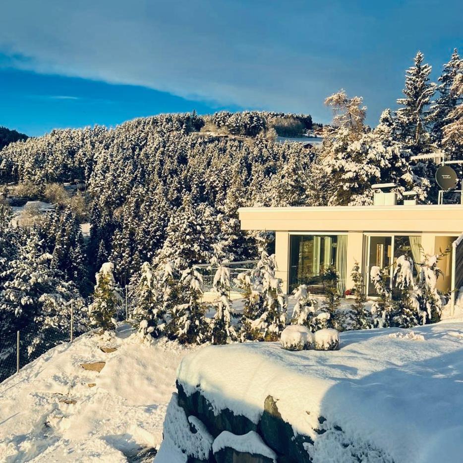Chalet Tschattlhof Dolomites Cavalese Luaran gambar